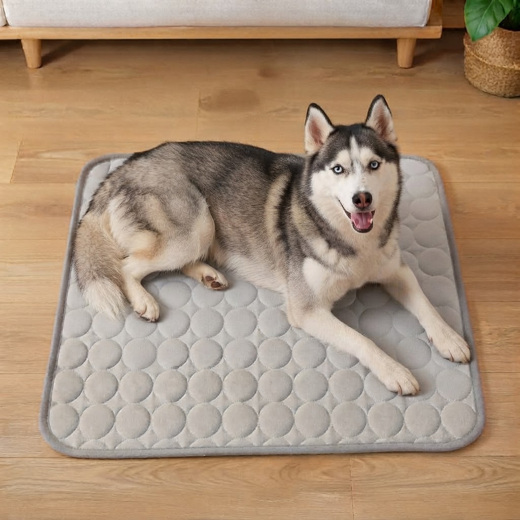 Husky resting on a gray quilted mat at home